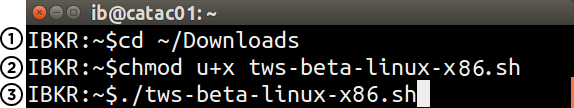 Linux Beta Terminal