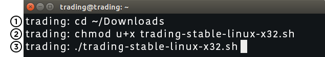 Linux Terminal